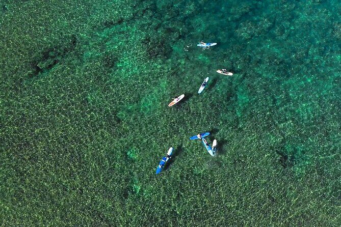 Private Surf Lesson for 3-5 People in North Shore Oahu - Why This Tour Offers Good Value