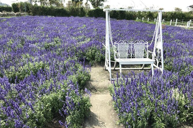 Private Taichung Instagram Day Tour from Taipei - Authentic Feedback from Travelers