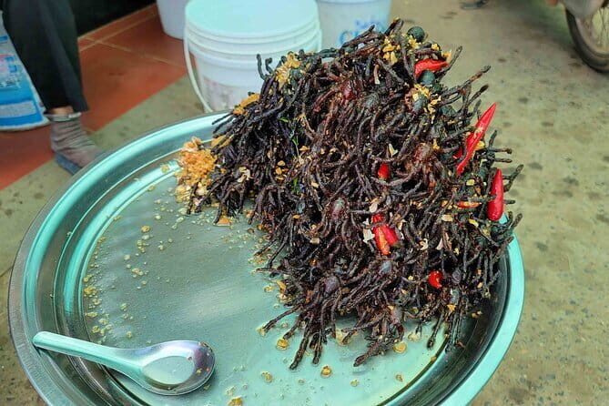 Private Taxi Phnom Penh To Siem Reap Include Floating Villages - Who Should Consider This Tour?