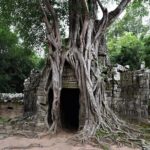 Private Taxi Siem Reap to Phnom Penh, Reliable Friendly Drivers - Who Should Consider This Tour?