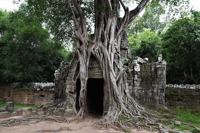 Private Taxi Siem Reap to Phnom Penh, Reliable Friendly Drivers - Who Should Consider This Tour?