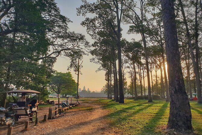 Private Temples Guided Tour (Angkor Wat, Ta Prom & Angkor Thom) - Exploring the Temples: A Step-by-Step Journey