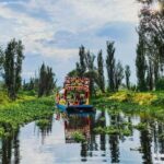 Private Tequila Craft Beer Tasting - Mexico City Floating Gardens - Who Will Love This Tour?