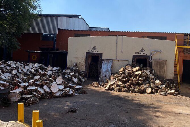 Private Tequila Tour - Final thoughts