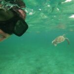 Private Tour: Akumal Marine Turtle Snorkeling and Cenote Adventure - Why Travelers Keep Coming Back