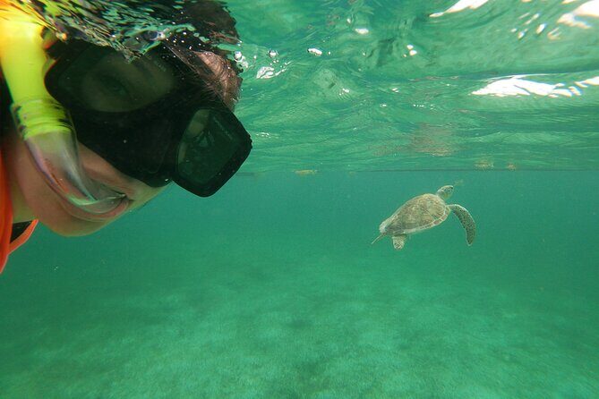 Private Tour: Akumal Marine Turtle Snorkeling and Cenote Adventure - Why Travelers Keep Coming Back