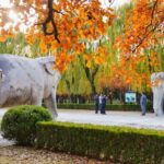 Private Tour: Badaling Great Wall and Dingling at Ming Tombs - Who Will Love This Tour?