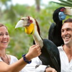 Private Tour Bali Bird Park And Ubud Tour - The Realities of the Experience