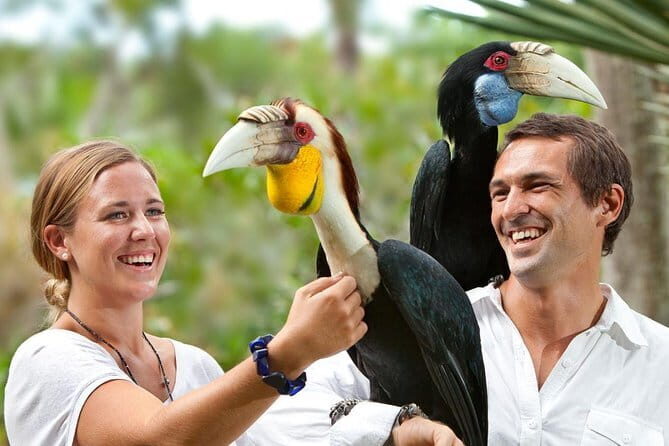 Private Tour Bali Bird Park And Ubud Tour - The Realities of the Experience