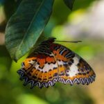 Private Tour: Bali Temple and Countryside Tour - Frequently Asked Questions