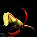 Private Tour: Beijing Cuisine Dinner and Chinese Kung Fu Show - Who Will Love This Tour?