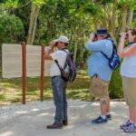 Private Tour: Birdwatching Playa del Carmen - Detailed Breakdown of the Tour