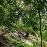 Private Tour: Bua Thong Sticky Waterfalls Tour - Final Thoughts