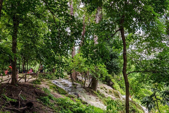Private Tour: Bua Thong Sticky Waterfalls Tour - Final Thoughts