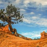 Private Tour Colorado Plateau from Sedona - What Could Be Better?