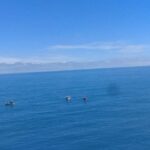 Private tour day tour trincomalee - Authentic Experiences and Practical Details