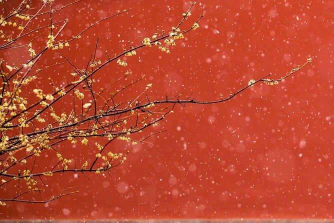 Private Tour: Forbidden City and Mutianyu Great Wall with Cable Car or Toboggan - Who Will Love This Tour?