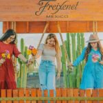 Private tour Freixenet Winery & Peña de Bernal - Practical Details and Considerations