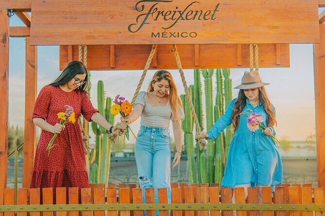 Private tour Freixenet Winery & Peña de Bernal - Practical Details and Considerations