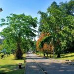 Private Tour: Full Day Center Penang Island Tour - The Real Value of This Tour