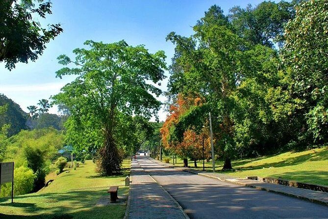 Private Tour: Full Day Center Penang Island Tour - The Real Value of This Tour