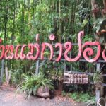 Private Tour in Chiang Mai Village Experience Nature - Who Will Love This Tour?
