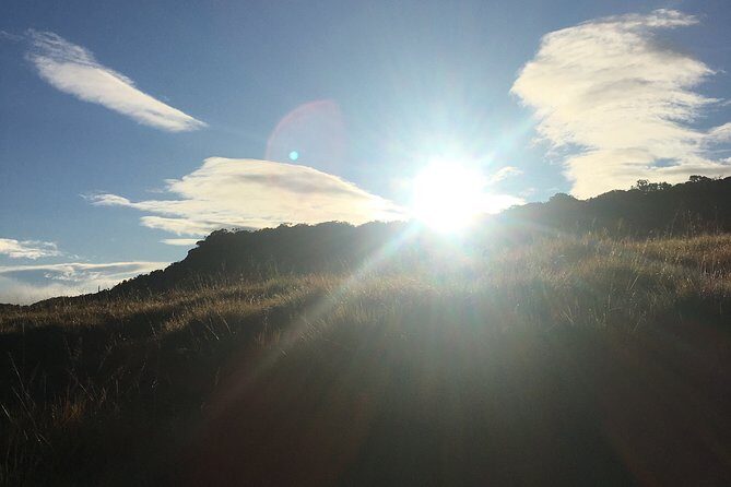 Private Tour in Horton Plains National Park & World's End Tour with Pick up - A Quick Look at the Horton Plains & Worlds End Tour