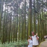 Private Tour in Jeju Island All Inclusive with Lunch - The Practicalities of the Tour