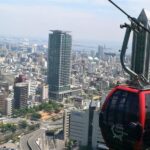 Private tour in Kobe with beef dinner - An In-Depth Look at Your Kobe Experience