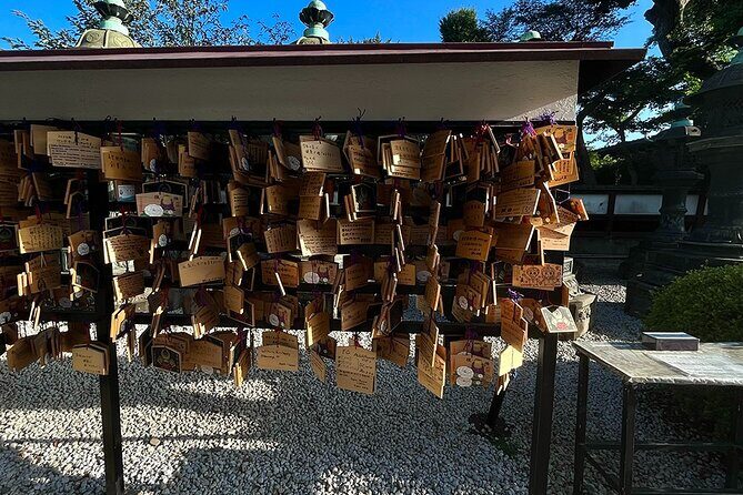 Private tour in Tokyo (Ueno, downtown...) with a Local Guide - Final Thoughts