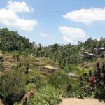 Private tour in Ubud country side - Who Will Love This Tour?