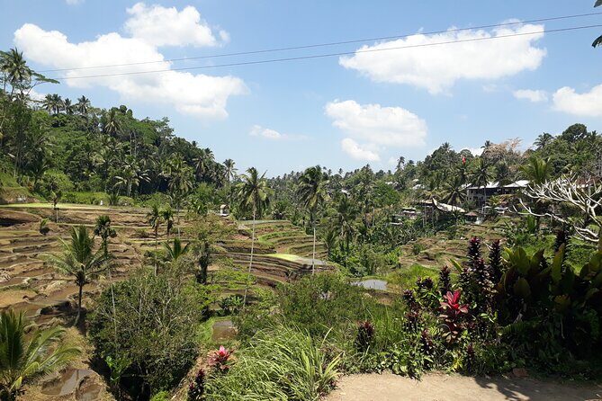 Private tour in Ubud country side - Who Will Love This Tour?