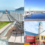 Private Tour : Izu Peninsula Day Trip with Cable Car Ride - Why This Tour Is a Great Choice