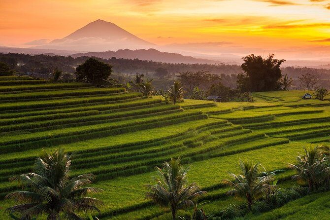 Private Tour: Jatiluwih Rice Terraces - Ulun Danu Temple - Bayumala Waterfalls - An In-Depth Look at the Tour Itinerary