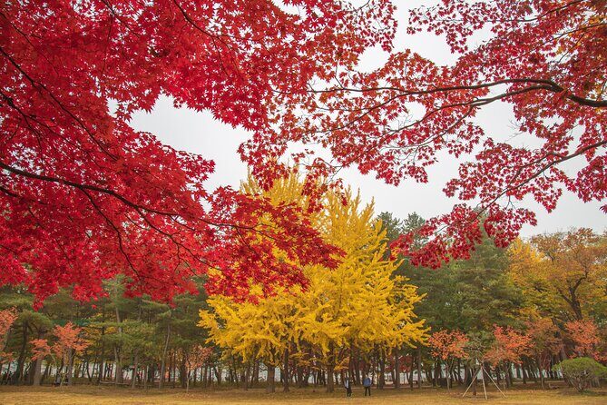 (Private tour) Nami Island + Railbike + Garden of morning calm - What Sets This Tour Apart?