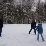 Private Tour Nami Island with Petite France 'and/or' The Garden of Morning Calm - Frequently Asked Questions (FAQs)