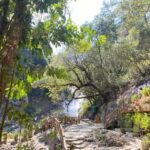 Private tour Nha Trang-Dalat excursion (start at Nha Trang) - In Summary