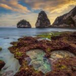 Private Tour: Nusa Penida DiamondBeach-Tree House EastSide Island - What to Expect from This Tour