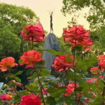 Private Tour of Hiroshima in Spanish: History, emotion, and local guide - The Practical Details: What to Expect and Considerations