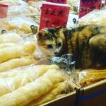 Private tour of Hong Kong - First timers - The Practical Side: Transportation, Timing, and Comfort