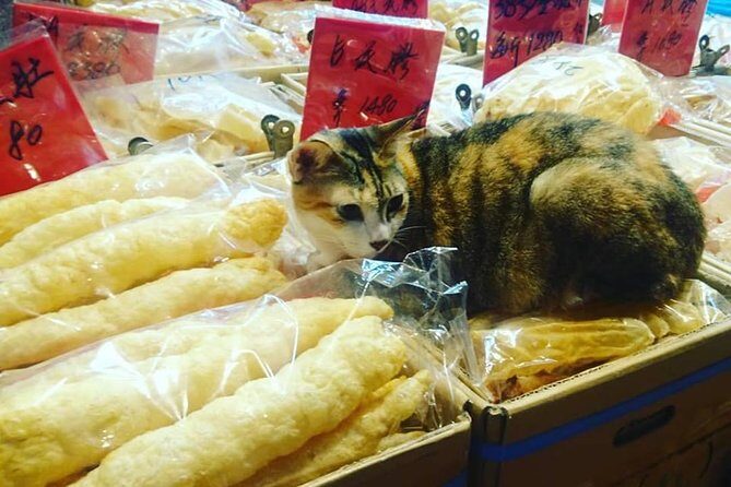 Private tour of Hong Kong - First timers - The Practical Side: Transportation, Timing, and Comfort