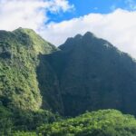Private Tour of Maui, the Valley Isle - FAQ