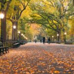 Private Tour of NYC - Who Should Consider This Tour?