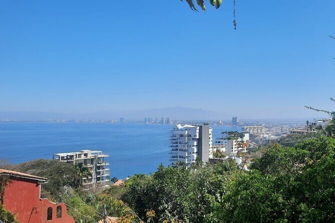 Private Tour of Puerto Vallarta and the Subtropical Forest - Who Should Book This Tour?