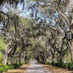 Private Tour of Savannah's Historic/Victorian Districts & Bonaventure Cemetery - Frequently Asked Questions