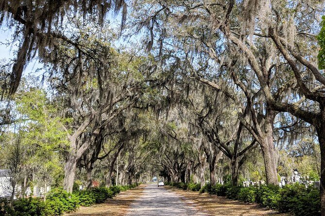Private Tour of Savannah's Historic/Victorian Districts & Bonaventure Cemetery - Frequently Asked Questions