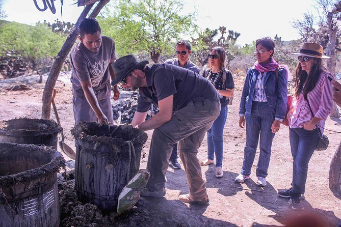 Private Tour of the Mezcal Route with Ancestral Drinks