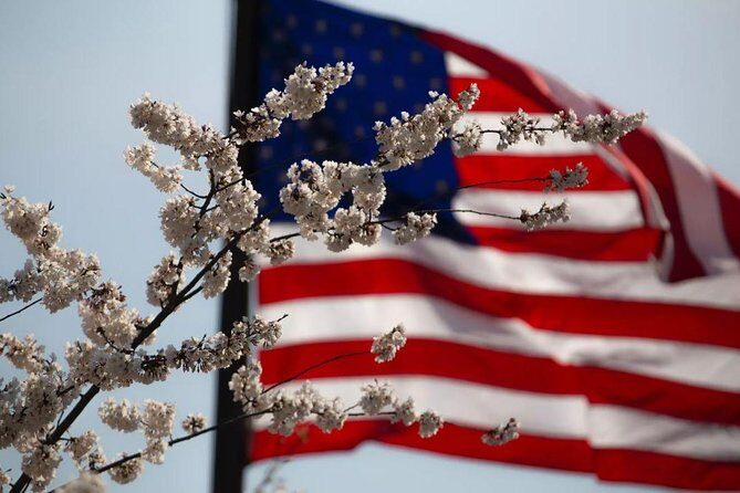 Private Tour of Washington, DC by Van to Honor Our Heroes - Who Would Love This Tour?