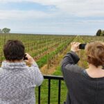 Private Tour or Private Transportation From Toronto Anywhere - A Deep Dive into the Itinerary and Experiences