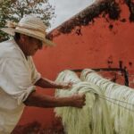 Private Tour: Sotuta de Peon Hacieda Day Trip - Who Should Consider This Tour?